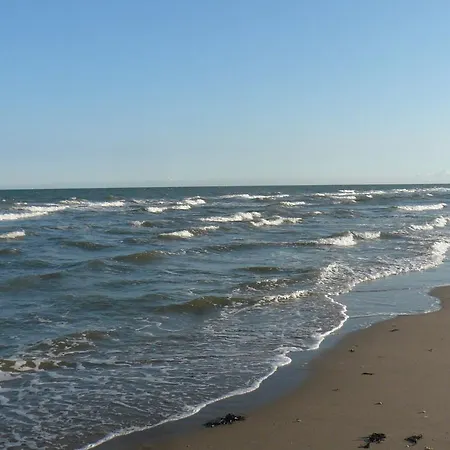 Huisje Aan Zee B 아파트 *